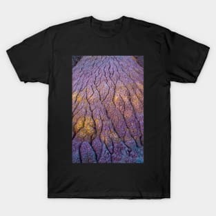 Colorful Clay Beds T-Shirt